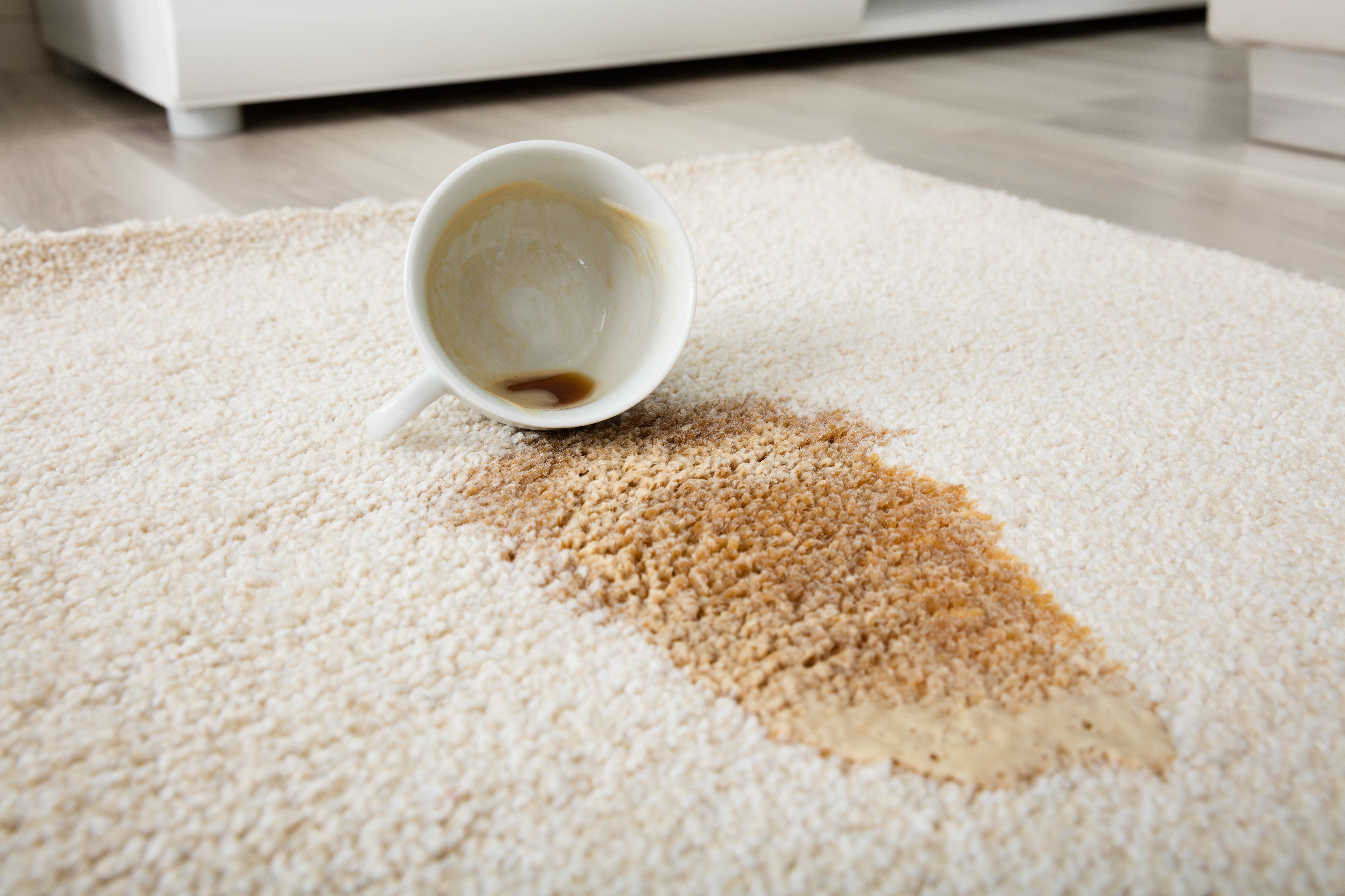 Coffee spilled on carpet